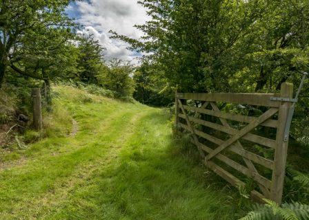 An image of a farm gate open