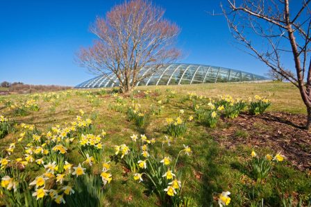 The National Botanical Gardens of Wales